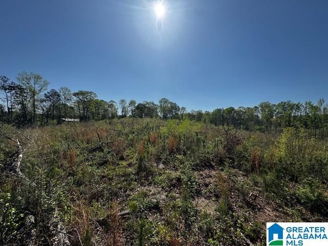 14875 HIGHWAY 431, Wedowee, AL 36278