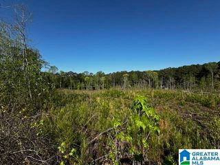 14875 HIGHWAY 431, Wedowee, AL 36278