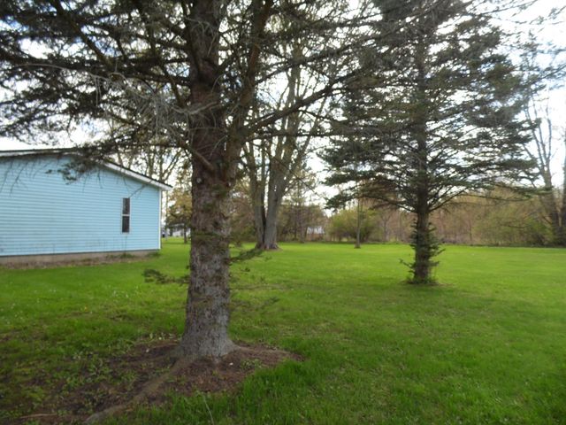 811 Graham Street, Coleman, MI 48618