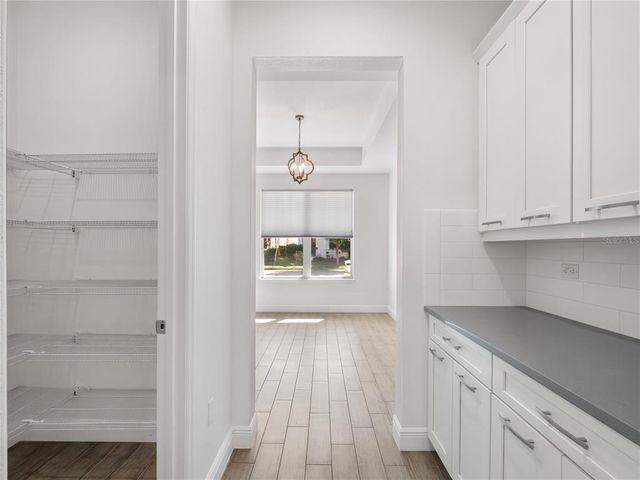 8352 LOOKOUT POINTE DRIVE, Windermere, FL 34786
