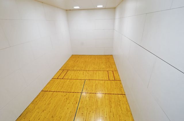 211 E Ohio Street 1505, Chicago, IL 60611