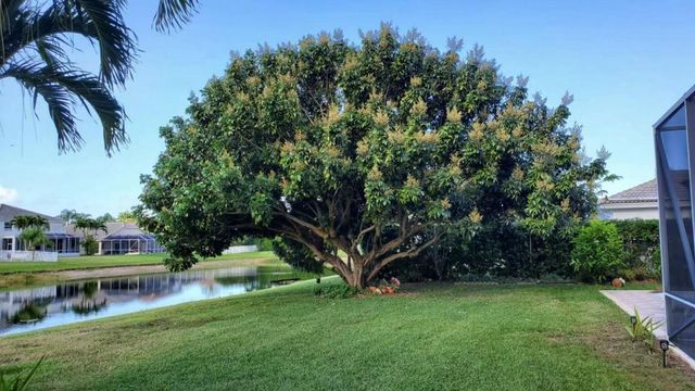 11174 Winding Pearl Way, Wellington, FL 33414