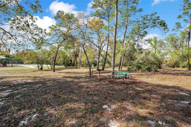 8431 DELAWARE DRIVE, Weeki Wachee, FL 34607