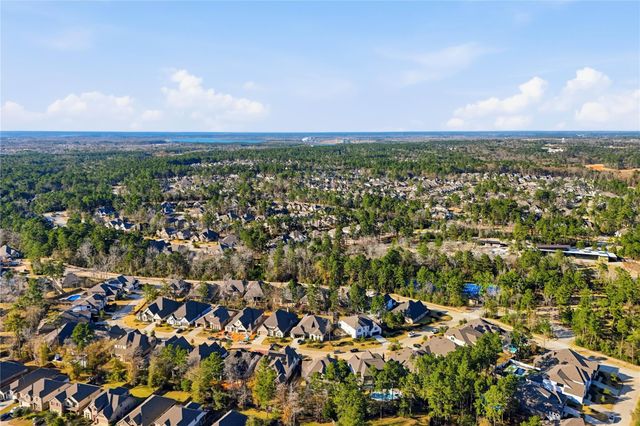 318 Calmato Woods Way, Conroe, TX 77318