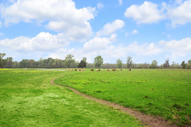 1400 County Road 2094, Liberty, TX 77575