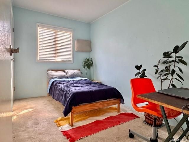 41 Charlotte Place, Plainview, NY 11803