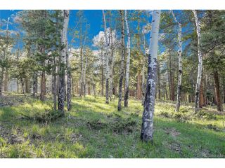 Molly Dr, Lot #3, Conifer, CO 80433