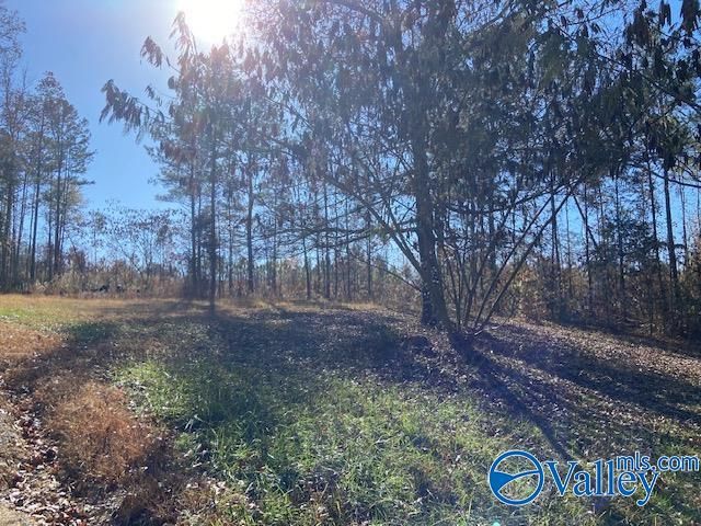 1500 County Road 133, Gaylesville, AL 35973