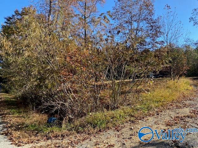 1500 County Road 133, Gaylesville, AL 35973