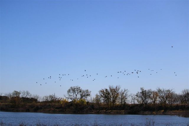 1684 County Road 2234, Lampasas, TX 76550