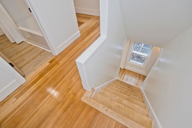 56 Colonial Ave, Springfield, MA 01109