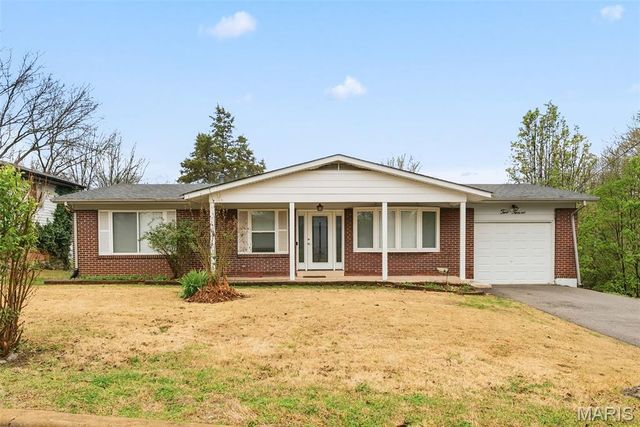 212 W Thornton Avenue, Rock Hill, MO 63119