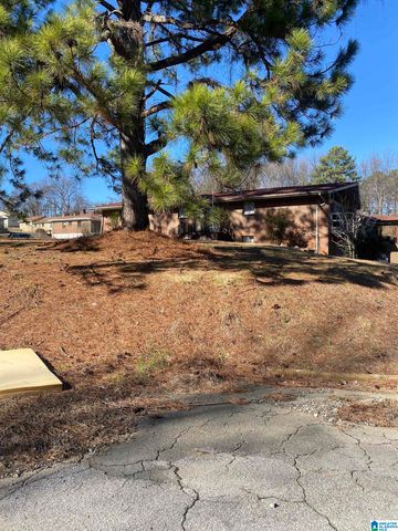 204 ELM AVENUE, Birmingham, AL 35214