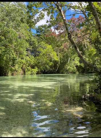 6443 FINANCE AVENUE, Weeki Wachee, FL 34607