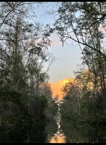 6443 FINANCE AVENUE, Weeki Wachee, FL 34607