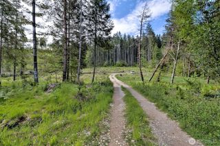 0 NE Cheyanne Hill Drive, Tahuya, WA 98588