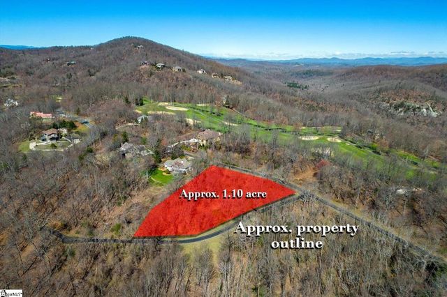 68 May Apple Way, Landrum, SC 29356