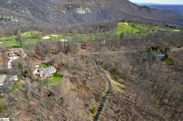 68 May Apple Way, Landrum, SC 29356