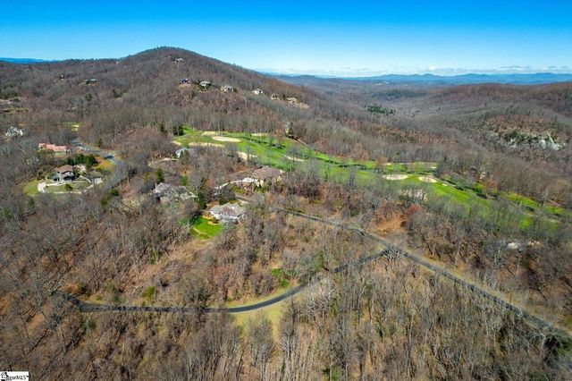 68 May Apple Way, Landrum, SC 29356