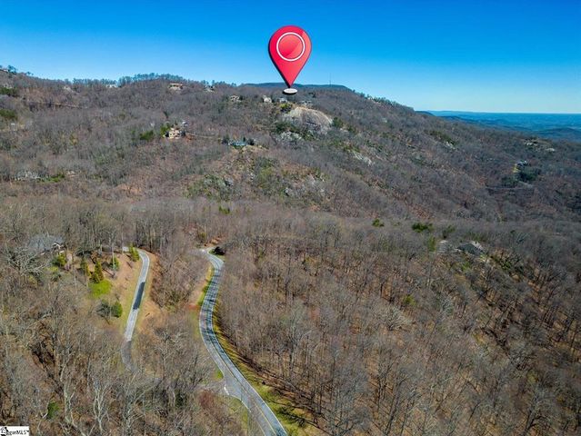 68 May Apple Way, Landrum, SC 29356