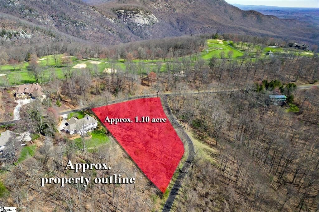 68 May Apple Way, Landrum, SC 29356