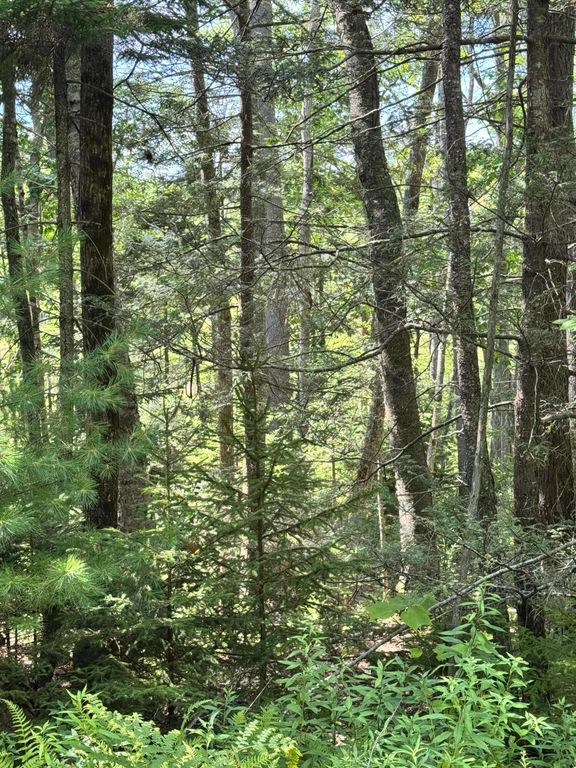 0 Henry Creek Way, Harpswell, ME 04079 — photo 5