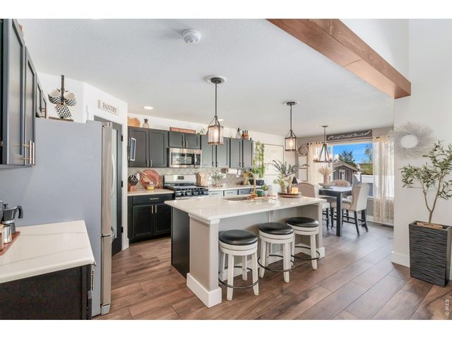 938 Scotch Pine Dr, Severance, CO 80550