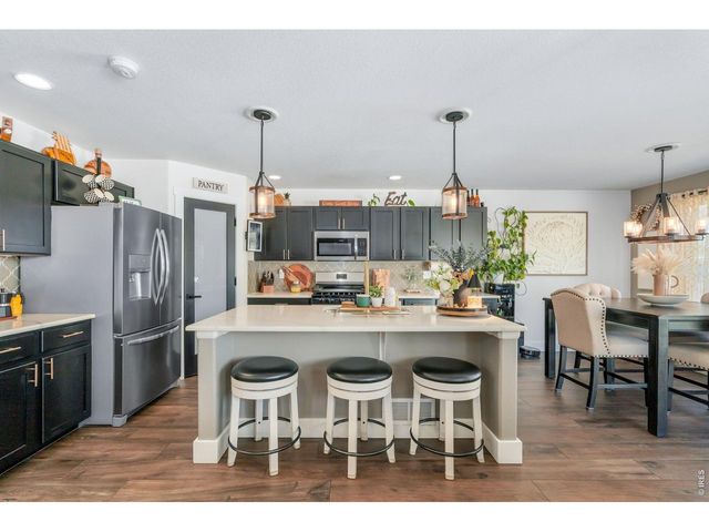 938 Scotch Pine Dr, Severance, CO 80550