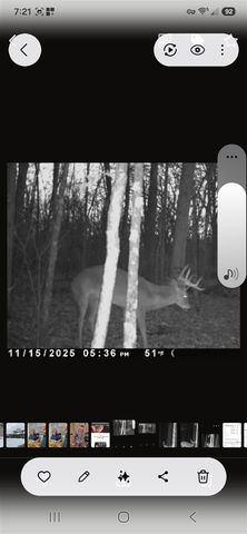 15303 Seymour Road, Grass Lake, MI 49240