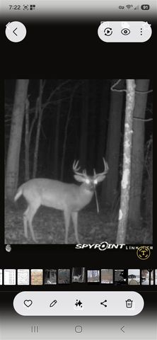 15303 Seymour Road, Grass Lake, MI 49240