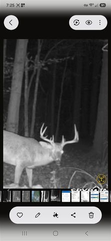 15303 Seymour Road, Grass Lake, MI 49240