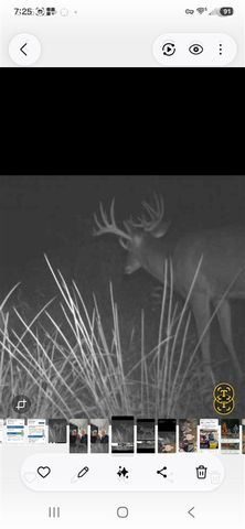 15303 Seymour Road, Grass Lake, MI 49240