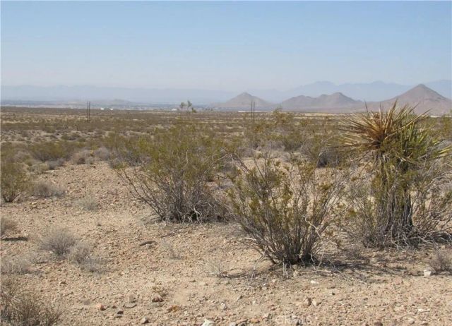0 0463-111-11-0000 Leaping Lizard, Apple Valley, CA 92307