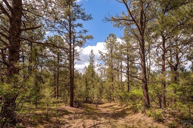 23490 Spirit Mountain Pl, Aguilar, CO 81082