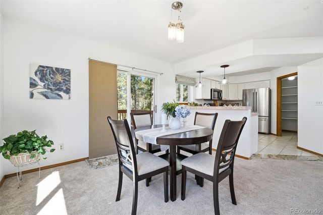 1100 Pine Ridge Road, Woodland Park, CO 80863