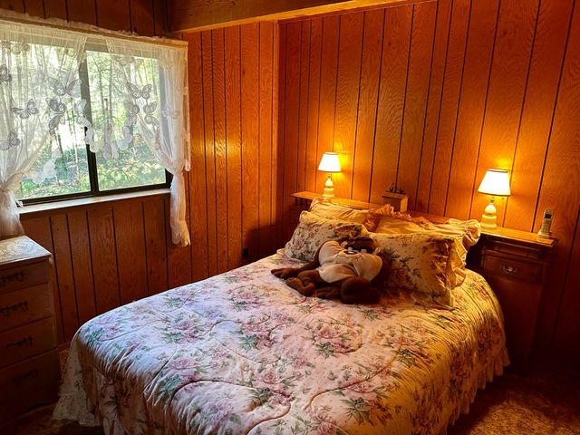 1197 Mckays Point Rd, Arnold, CA 95223