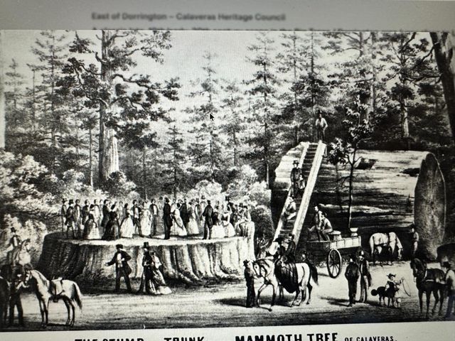 1197 Mckays Point Rd, Arnold, CA 95223