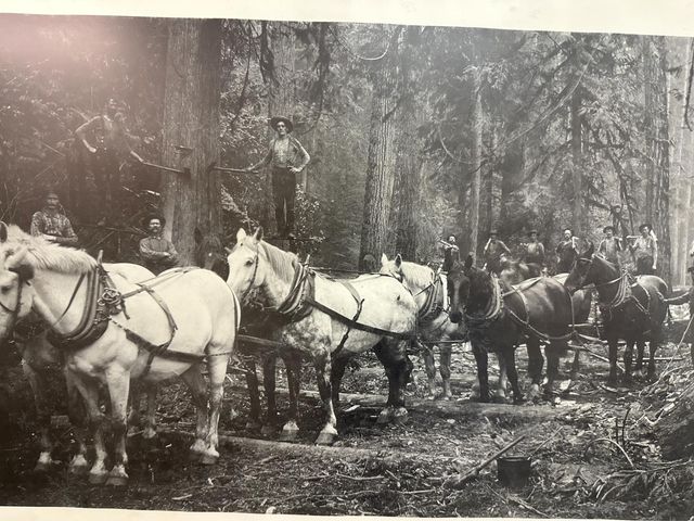 1197 Mckays Point Rd, Arnold, CA 95223