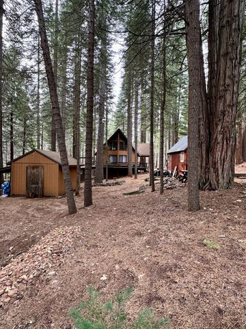 1197 Mckays Point Rd, Arnold, CA 95223