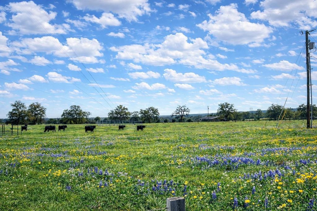 12811 E Us Hwy 79, Oakwood, TX 75855