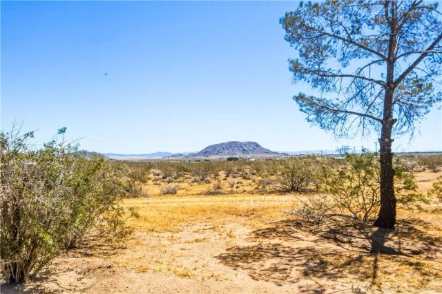 56674 Cone Boulevard, Landers, CA 92285