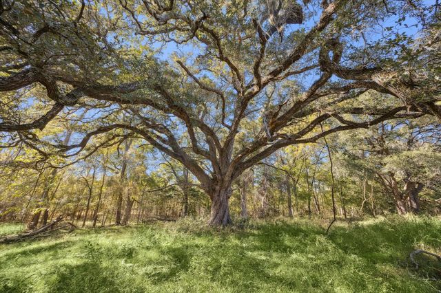 6230 Kovar Road, Fayetteville, TX 78940