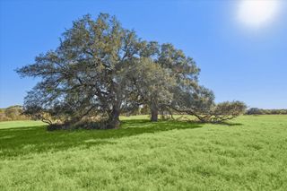 6230 Kovar Road, Fayetteville, TX 78940