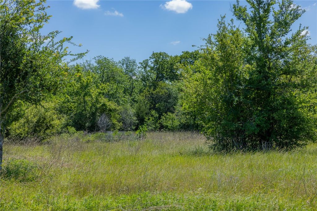 6534 Atakapan Trail, Anderson, TX 77831 — exterior