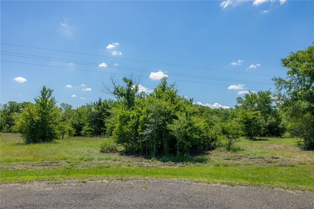 6534 Atakapan Trail, Anderson, TX 77831 — photo 2