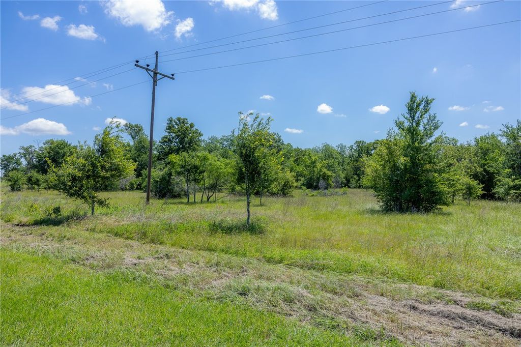 6534 Atakapan Trail, Anderson, TX 77831 — photo 3