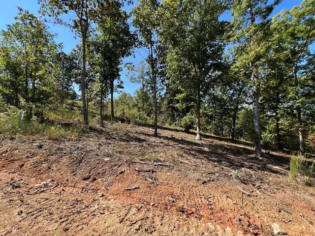 139 Hideout Lane, Murphy, NC 28906