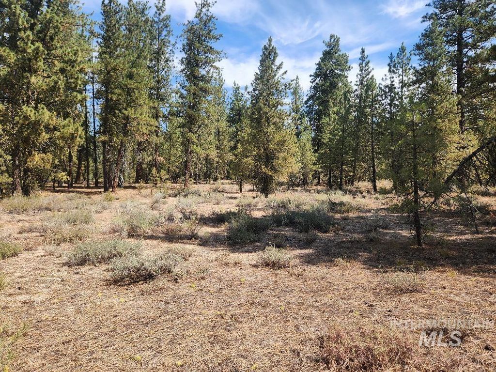 TBD N Diamond Bar Place, Featherville, ID 83647