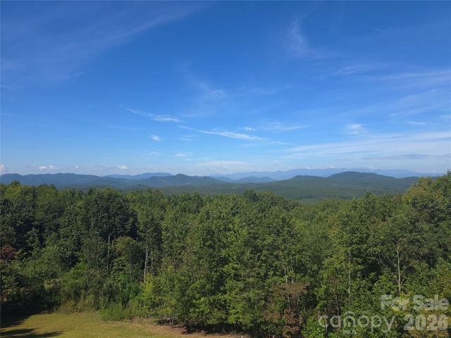 334 Scenic Vista Drive, Nebo, NC 28761
