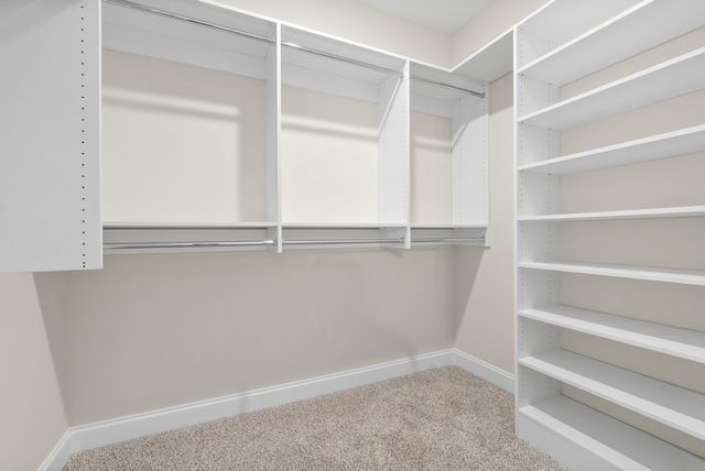 218 Harvest Moon Dr, Clarksville, TN 37043